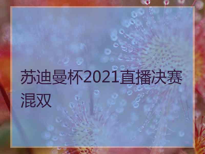 苏迪曼杯2021直播决赛混双