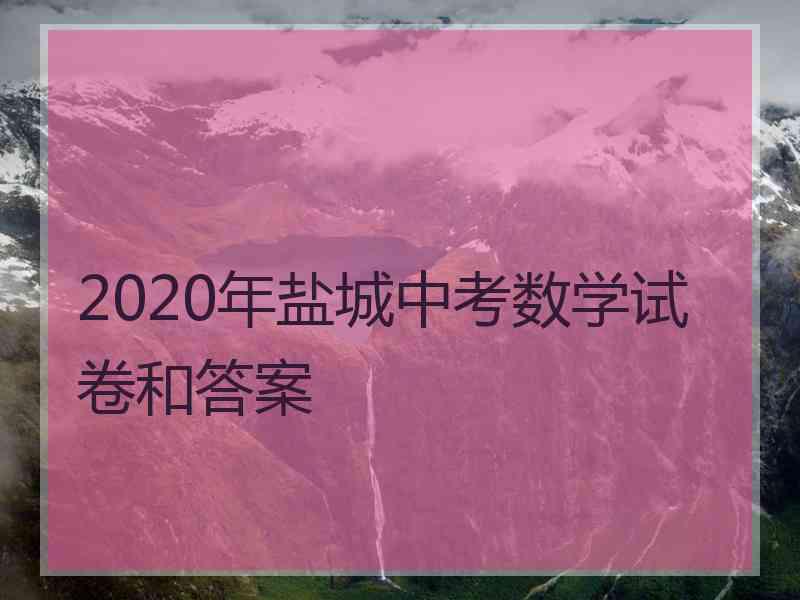 2020年盐城中考数学试卷和答案