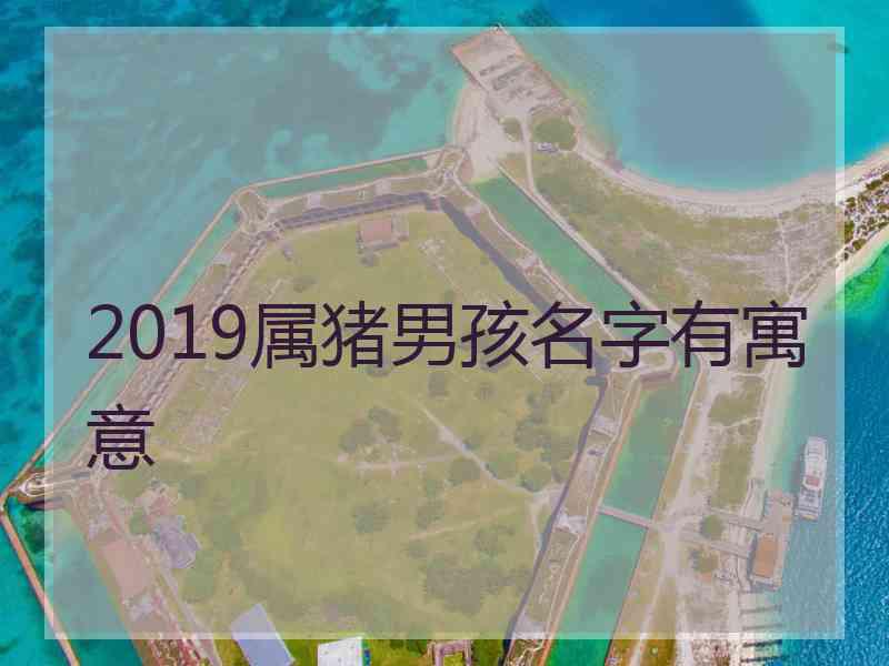 2019属猪男孩名字有寓意