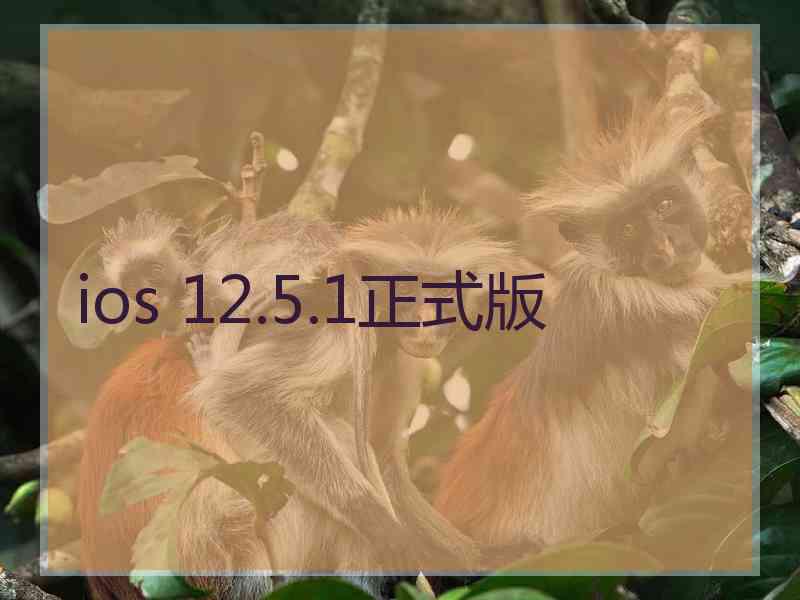 ios 12.5.1正式版