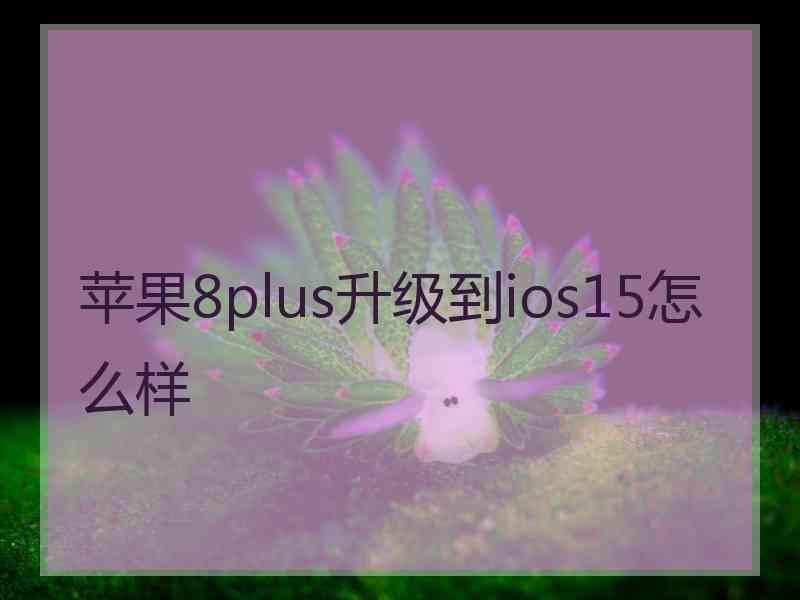 苹果8plus升级到ios15怎么样