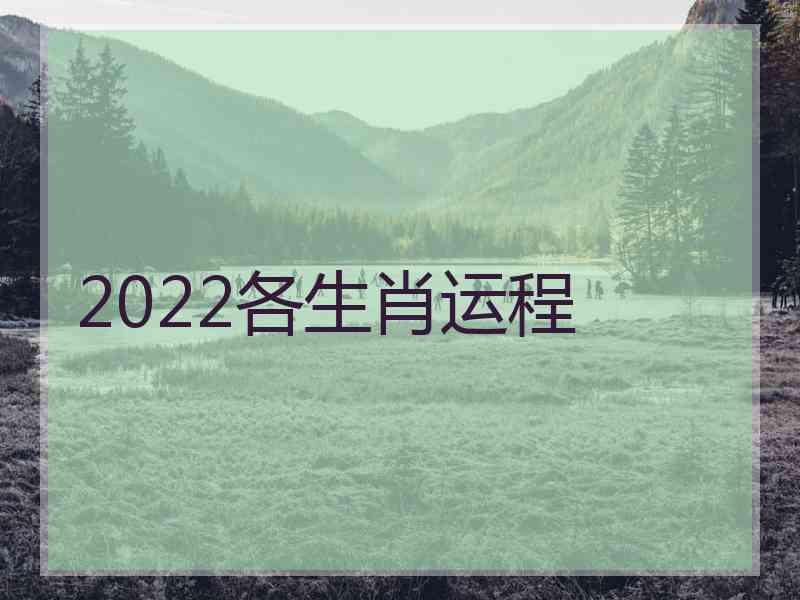 2022各生肖运程