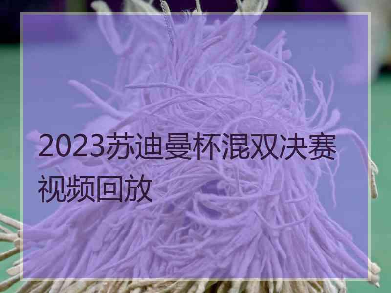 2023苏迪曼杯混双决赛视频回放