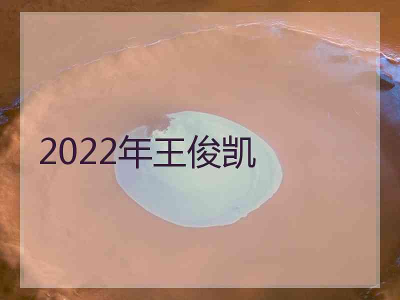 2022年王俊凯