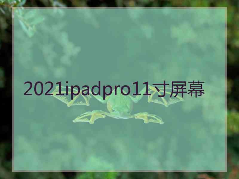 2021ipadpro11寸屏幕