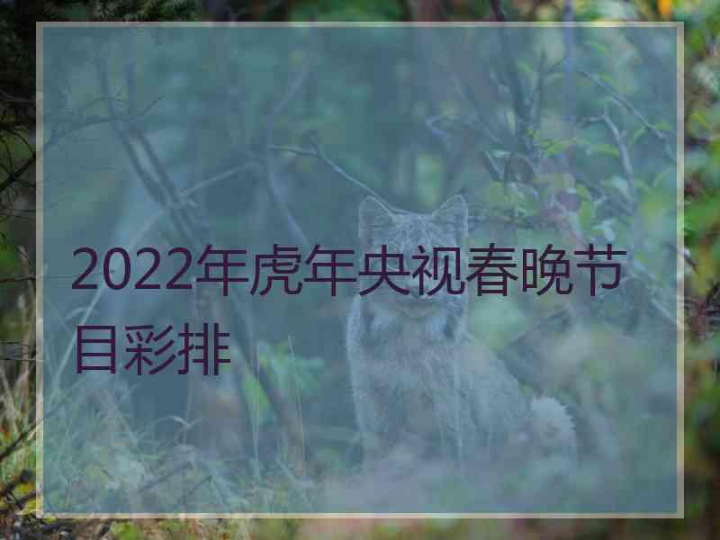 2022年虎年央视春晚节目彩排