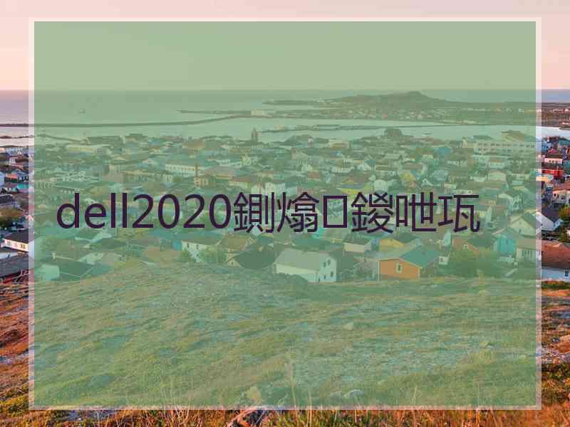 dell2020鍘熻鍐呭瓨