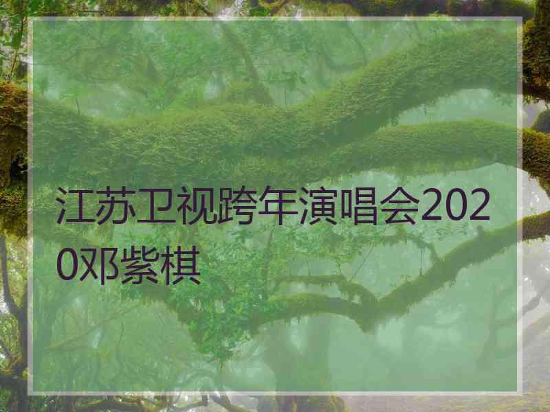 江苏卫视跨年演唱会2020邓紫棋