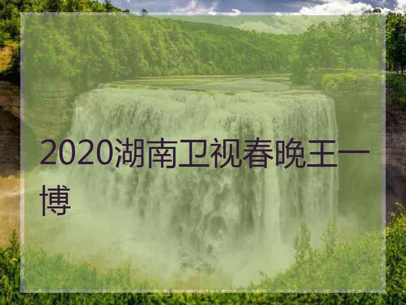 2020湖南卫视春晚王一博