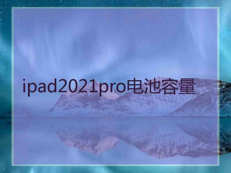 ipad2021pro电池容量