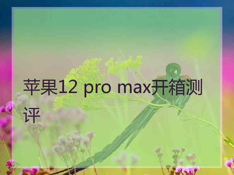 苹果12 pro max开箱测评