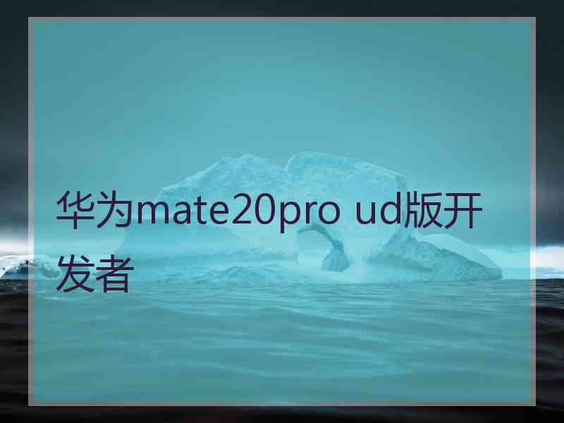 华为mate20pro ud版开发者