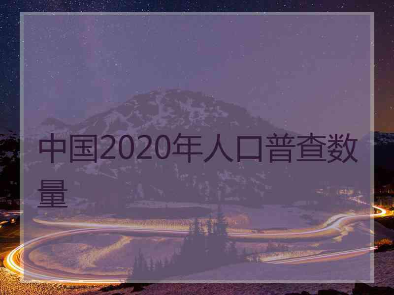 中国2020年人口普查数量