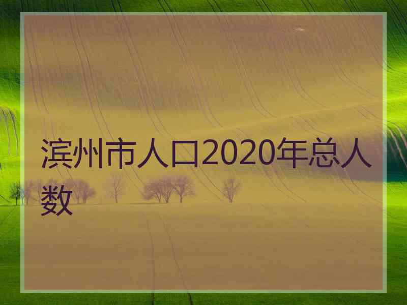 滨州市人口2020年总人数