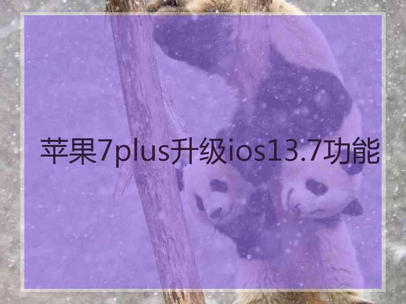 苹果7plus升级ios13.7功能