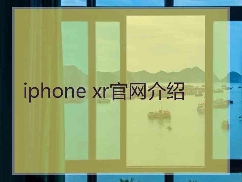 iphone xr官网介绍