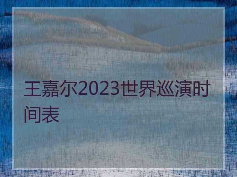 王嘉尔2023世界巡演时间表