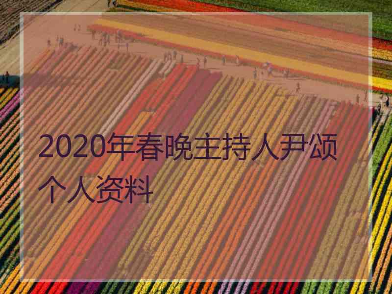 2020年春晚主持人尹颂个人资料