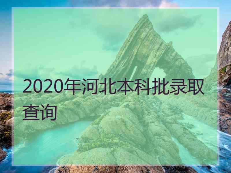 2020年河北本科批录取查询