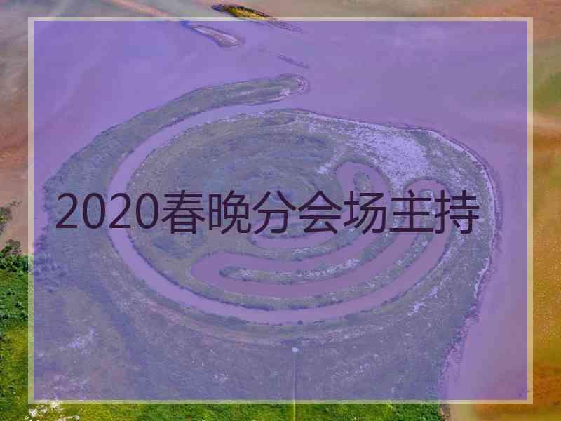 2020春晚分会场主持