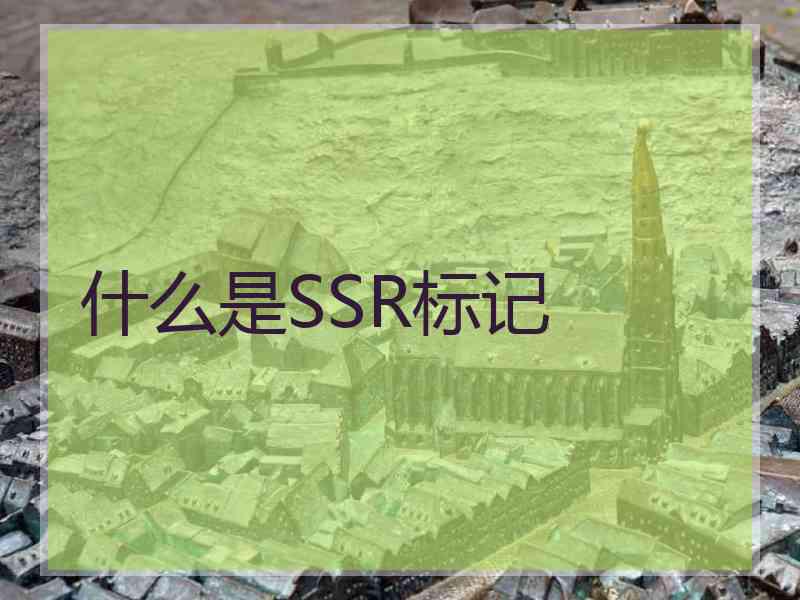 什么是SSR标记