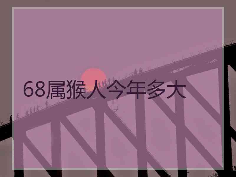 68属猴人今年多大