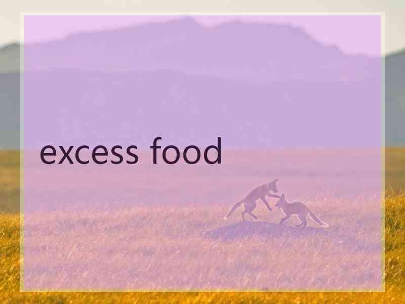 excess food