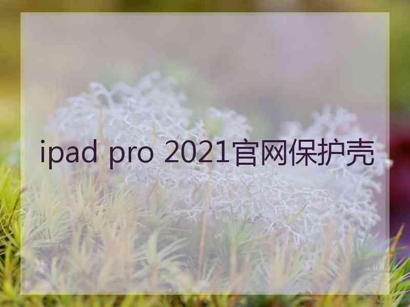 ipad pro 2021官网保护壳