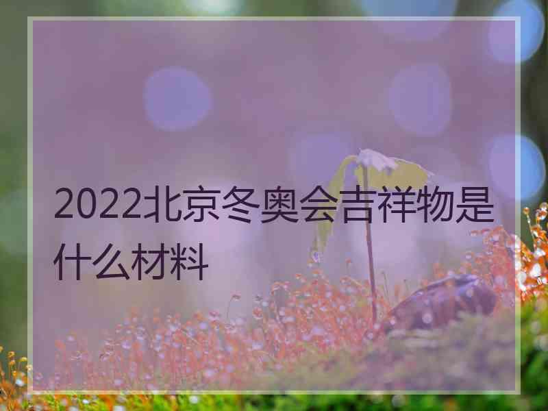 2022北京冬奥会吉祥物是什么材料