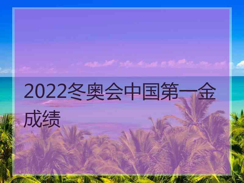 2022冬奥会中国第一金成绩