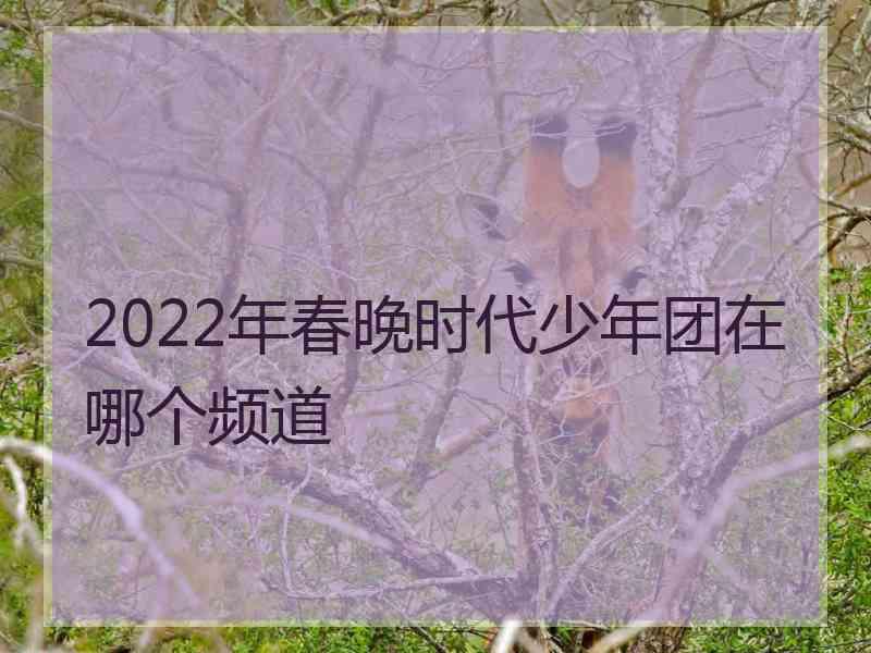 2022年春晚时代少年团在哪个频道