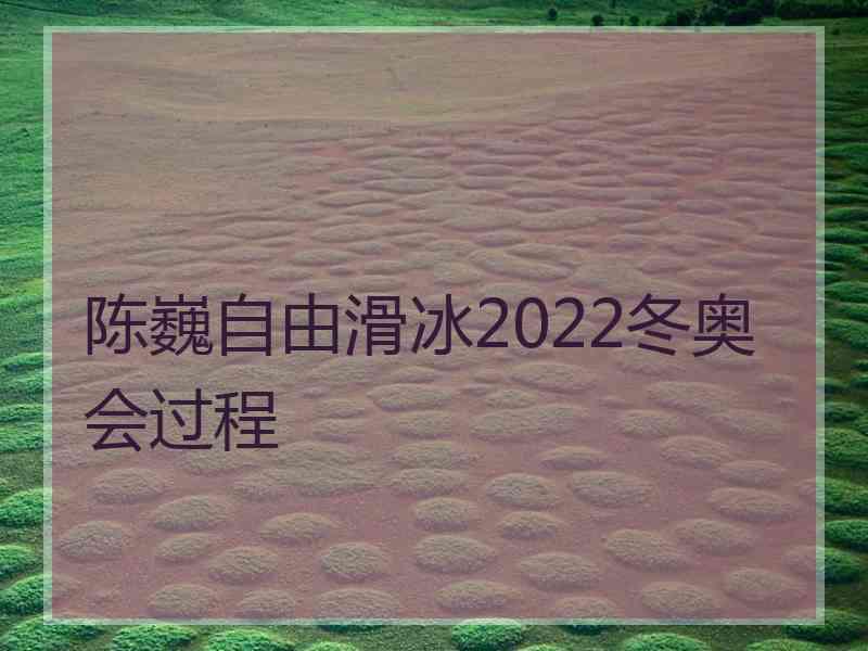 陈巍自由滑冰2022冬奥会过程