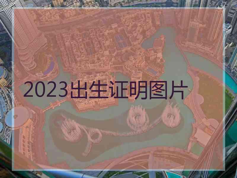 2023出生证明图片