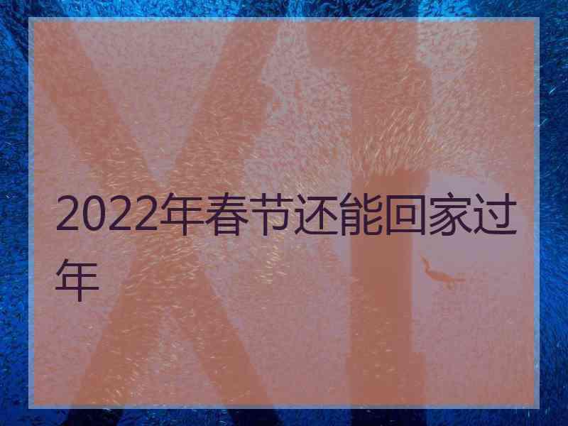 2022年春节还能回家过年