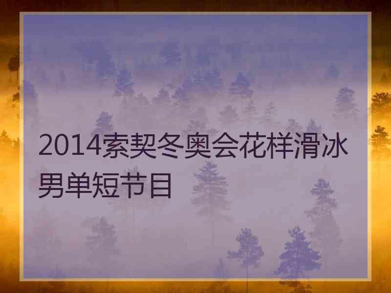 2014索契冬奥会花样滑冰男单短节目