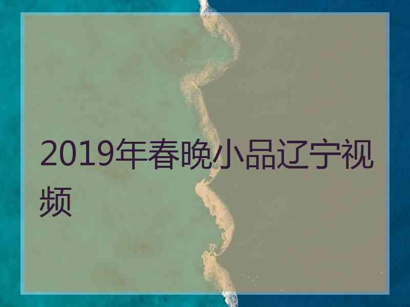 2019年春晚小品辽宁视频