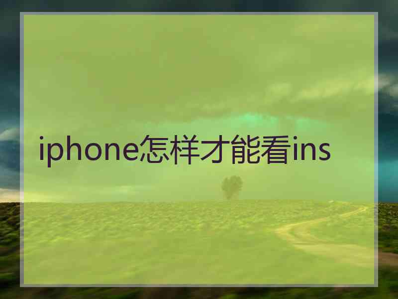 iphone怎样才能看ins