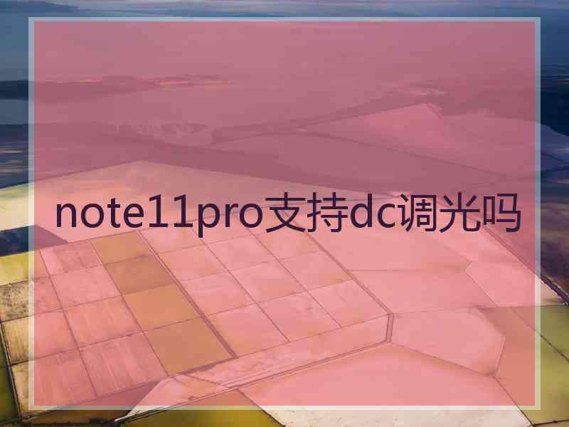 note11pro支持dc调光吗