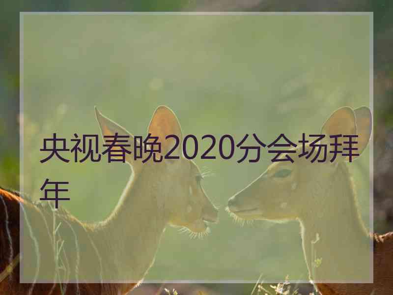 央视春晚2020分会场拜年