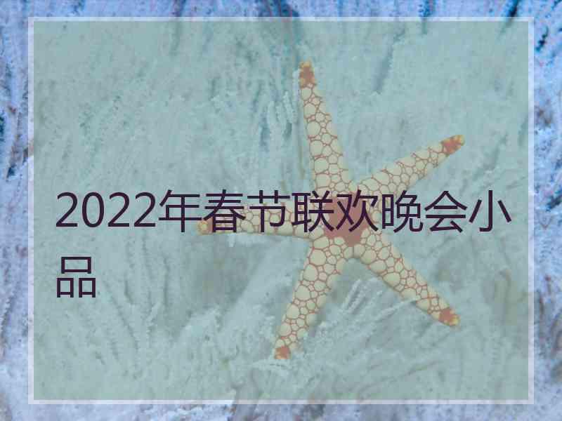 2022年春节联欢晚会小品