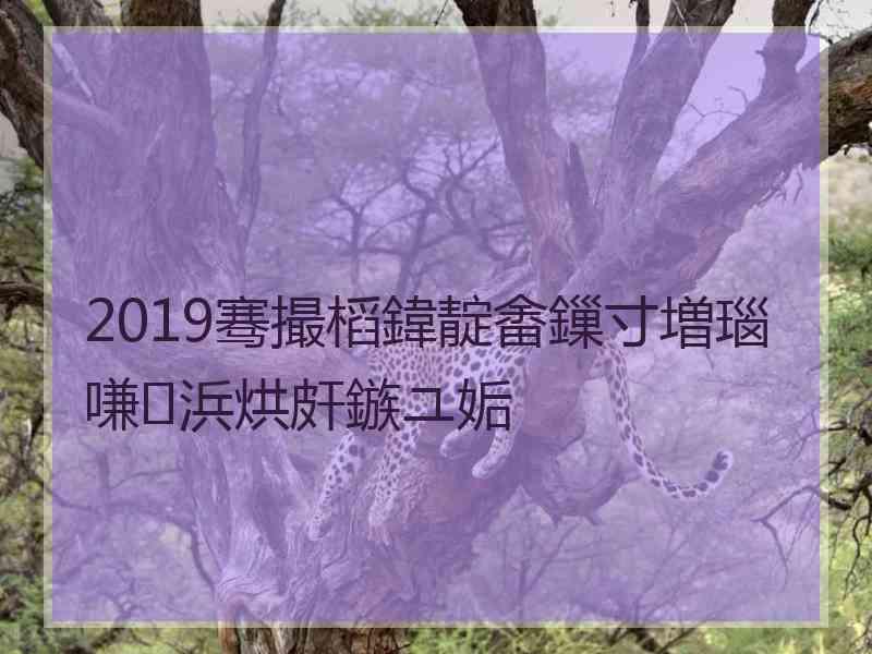 2019骞撮槄鍏靛畬鏁寸増瑙嗛浜烘皯鏃ユ姤