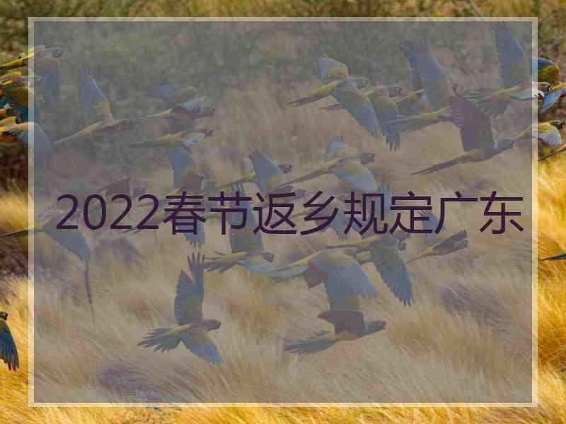 2022春节返乡规定广东