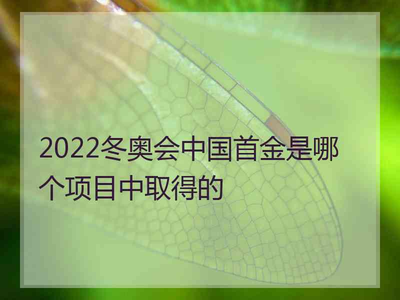 2022冬奥会中国首金是哪个项目中取得的