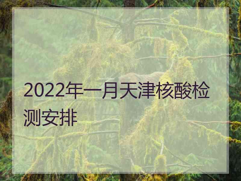 2022年一月天津核酸检测安排