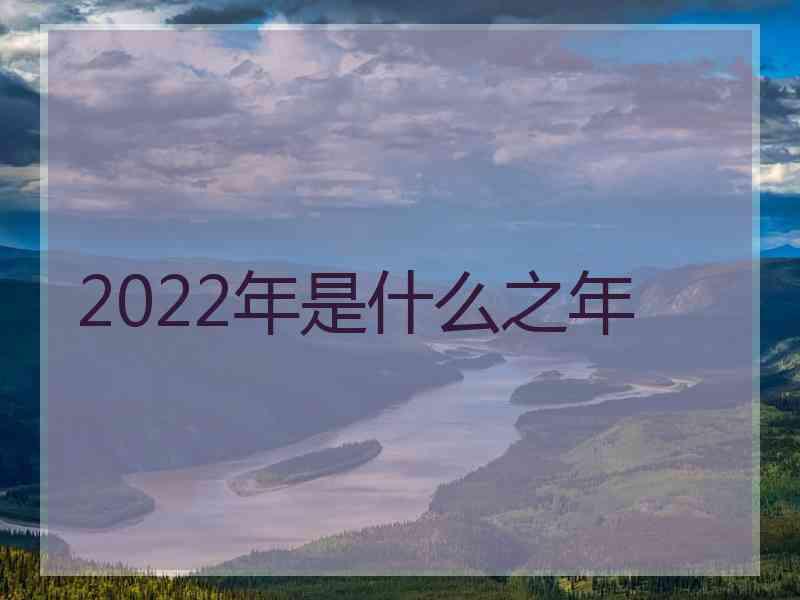 2022年是什么之年