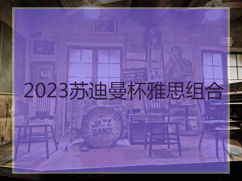 2023苏迪曼杯雅思组合