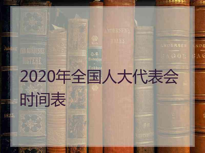 2020年全国人大代表会时间表