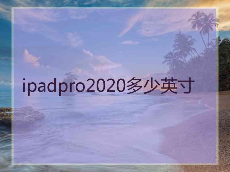 ipadpro2020多少英寸