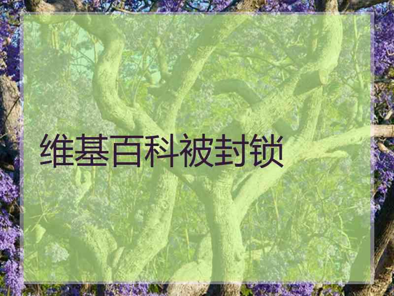 维基百科被封锁