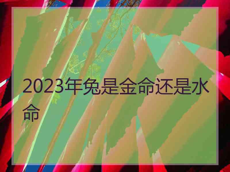 2023年兔是金命还是水命